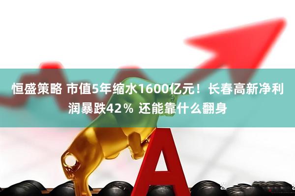 恒盛策略 市值5年缩水1600亿元！长春高新净利润暴跌42％ 还能靠什么翻身