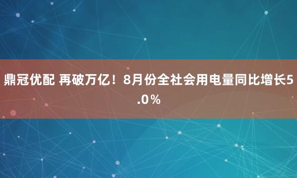鼎冠优配 再破万亿！8月份全社会用电量同比增长5.0％