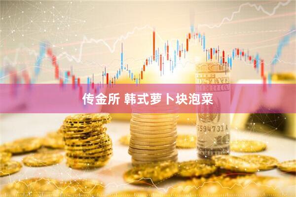 传金所 韩式萝卜块泡菜