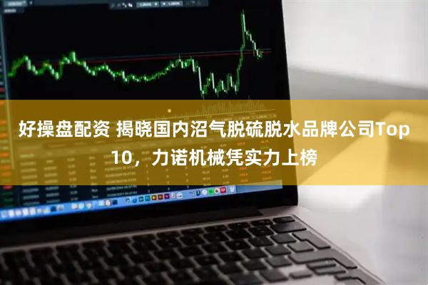 好操盘配资 揭晓国内沼气脱硫脱水品牌公司Top10，力诺机械凭实力上榜