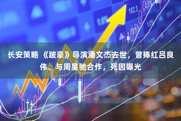 长安策略 《跛豪》导演潘文杰去世，曾捧红吕良伟、与周星驰合作，死因曝光